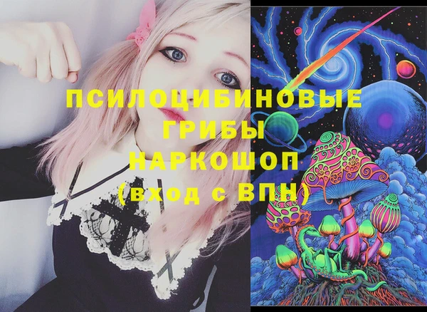 mdma Белокуриха
