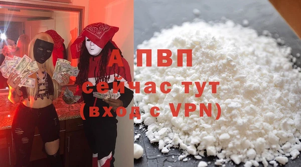 ГАЛЛЮЦИНОГЕННЫЕ ГРИБЫ Белоозёрский