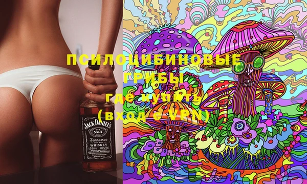 ГАЛЛЮЦИНОГЕННЫЕ ГРИБЫ Иннополис