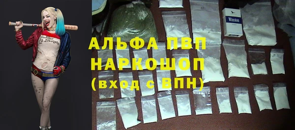 ГАЛЛЮЦИНОГЕННЫЕ ГРИБЫ Белоозёрский