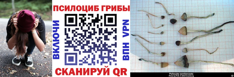 Псилоцибиновые грибы мухоморы  Кольчугино 